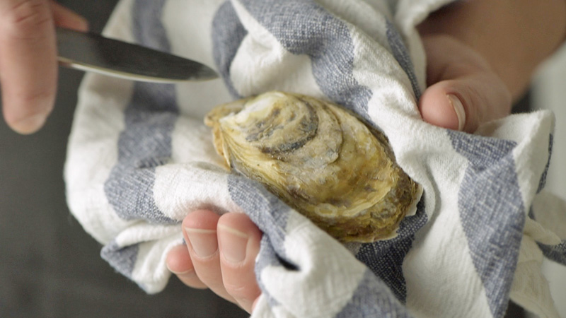 shuck-oysters-knife