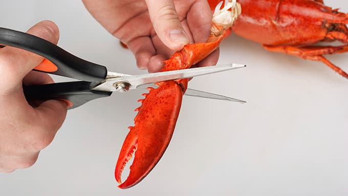 How to Eat a Lobster