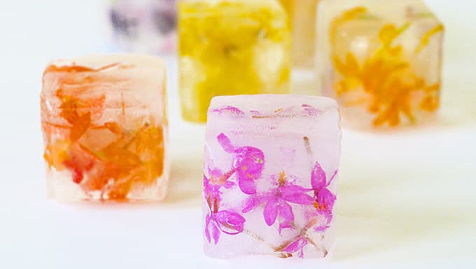 How to Make Edible Flower Ice Cubes