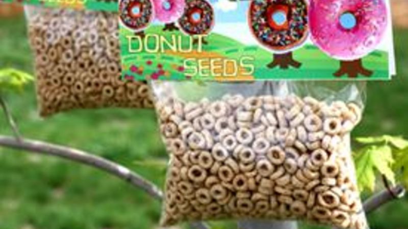 donut seeds